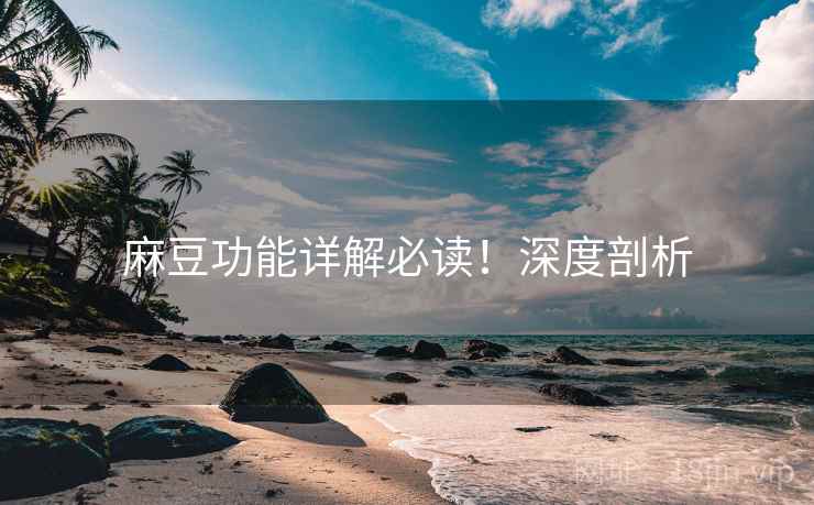 麻豆功能详解必读！深度剖析
