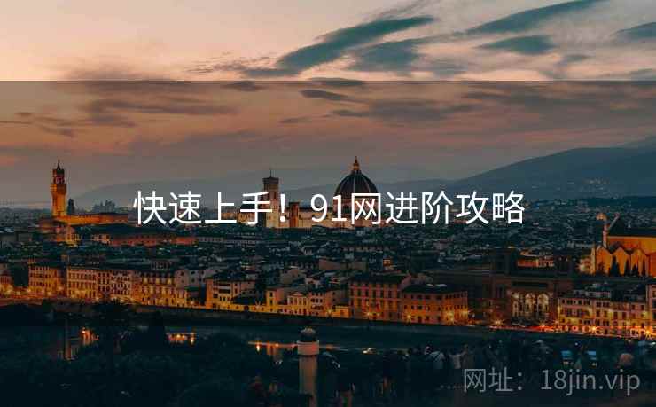 快速上手！91网进阶攻略