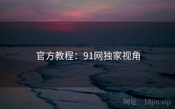 官方教程：91网独家视角