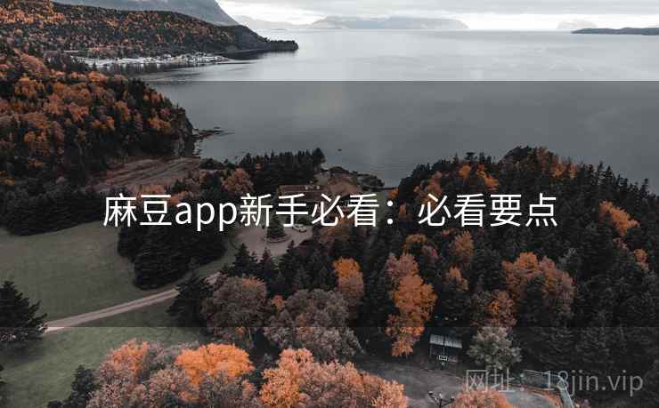 麻豆app新手必看：必看要点